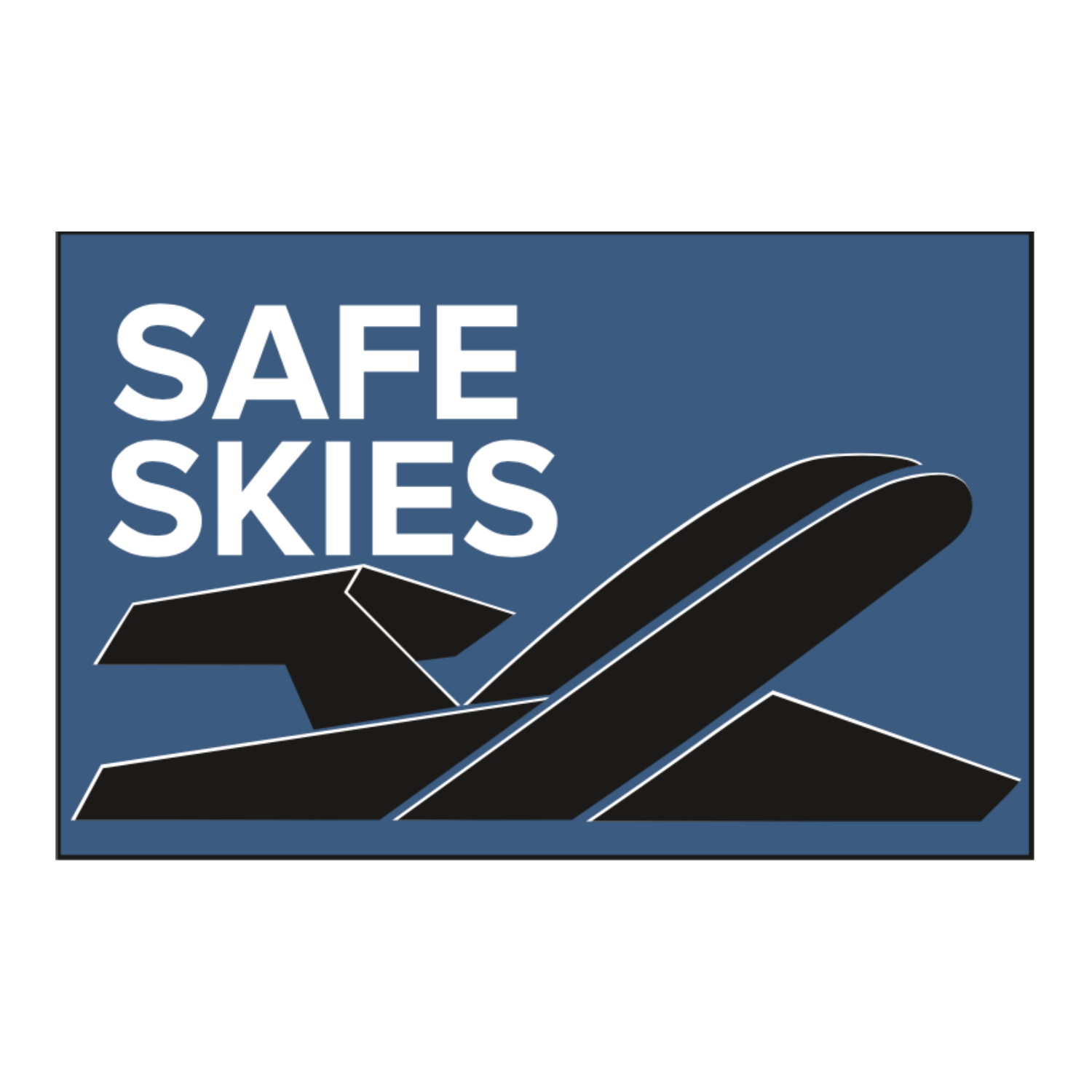 National Safe Skies Alliance Logo